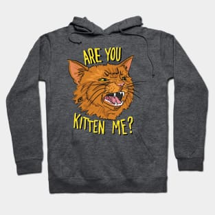 Are You Kitten Me - Orange Ginger Cat Hoodie
